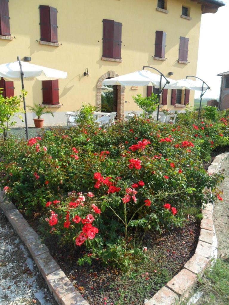 Agriturismo Al Navile Malalbergo Exterior photo